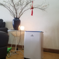 hình đánh giá của Đạt Nguyễn