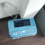 hình đánh giá của Đỗ Diệu Hương