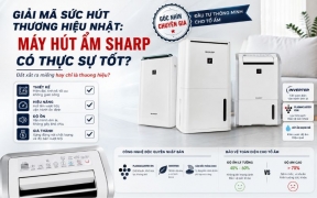 Đánh Giá Máy Hút Ẩm Sharp Có Đáng Đầu Tư Không?
