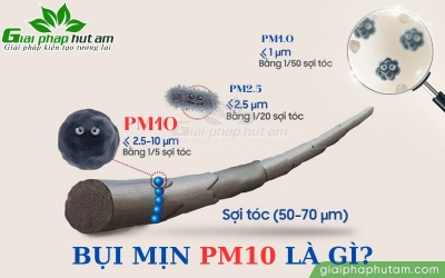 Bụi mịn PM10 là gì? Nguyên nhân, tác hại và cách ngăn ngừa bụi mịn PM10