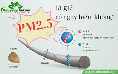 Bụi mịn PM2.5 là gì? Tác hại và giải pháp phòng tránh PM2.5 hiệu quả