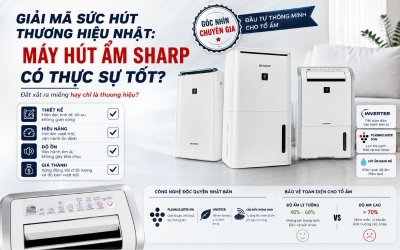 Đánh Giá Máy Hút Ẩm Sharp Có Đáng Đầu Tư Không?
