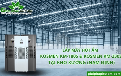 Lắp Máy Hút Ẩm 180L & 250L Tại Kho Xưởng Sản Xuất, Bảo Quản - Nam Định 