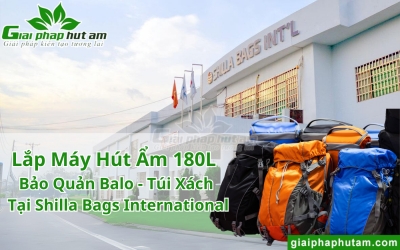 Lắp Máy Hút Ẩm 180L Bảo Quản Balo - Túi Xách Tại Shilla Bags International