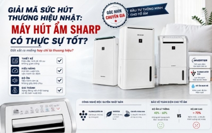 Đánh Giá Máy Hút Ẩm Sharp Có Đáng Đầu Tư Không?