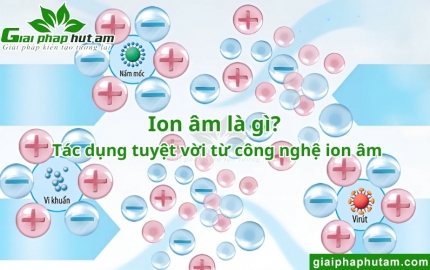 Ion âm là gì?