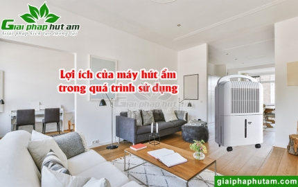 Lợi Ích Của Máy Hút Ẩm