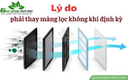 Màng lọc không khí bao lâu phải thay? 