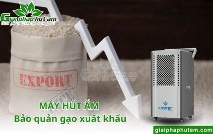 Máy hút ẩm bảo quản gạo