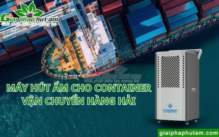 Máy hút ẩm cho container