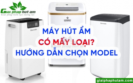 Máy hút ẩm có mấy loại?