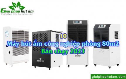 Máy Hút Ẩm Công Nghiệp Phòng 80m2