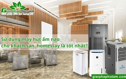 Máy hút ẩm khách sạn