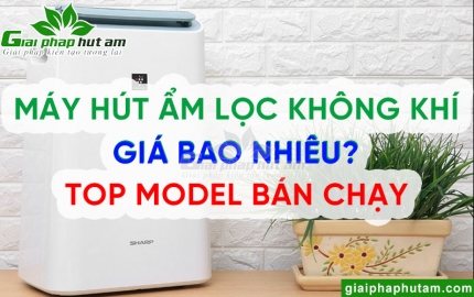 Máy hút ẩm không khí