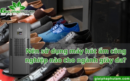 Máy hút ẩm ngành giày da