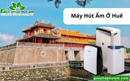 Máy hút ẩm ở Huế