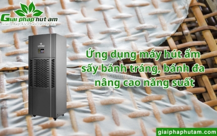 Máy hút ẩm sấy bánh tráng, bánh đa