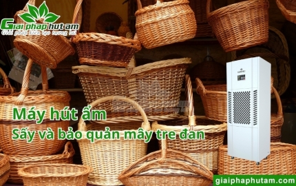 Máy hút ẩm sấy và bảo quản mây tre đan