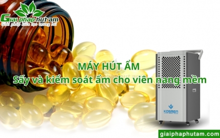 Máy hút ẩm sấy và kiểm soát ẩm cho viên nang mềm