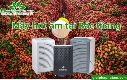 Máy Hút Ẩm Tại Bắc Giang