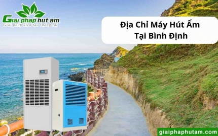 Máy hút ẩm tại Bình Định