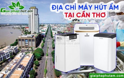 Máy hút ẩm tại Cần Thơ