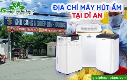 Máy hút ẩm tại Dĩ An