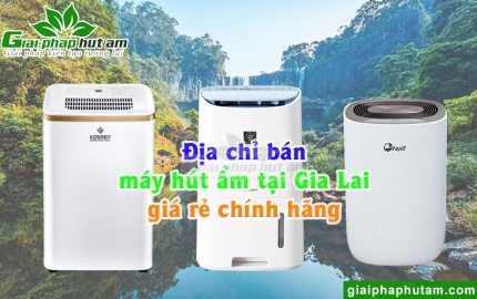 Máy Hút Ẩm Tại Gia Lai