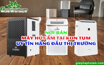 Máy Hút Ẩm Tại Kon Tum