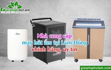 Máy Hút Ẩm Tại Lâm Đồng