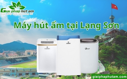 Máy Hút Ẩm Tại Lạng Sơn