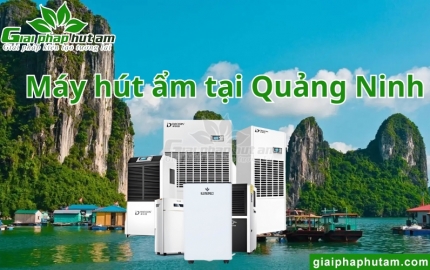 Máy hút ẩm tại Quảng Ninh