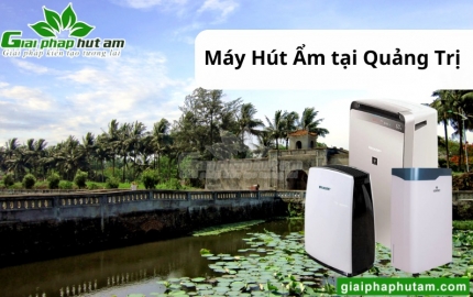 Máy hút ẩm tại Quảng Trị