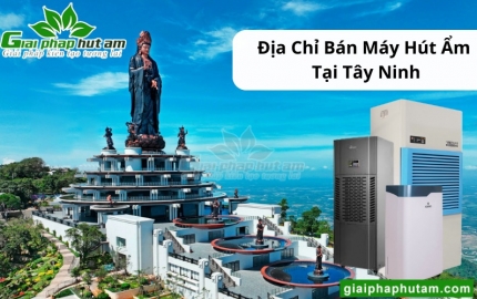 Máy Hút Ẩm Tại Tây Ninh