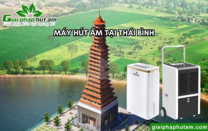 Máy Hút Ẩm Tại Thái Bình