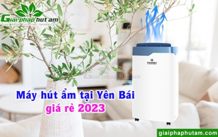 Máy Hút Ẩm Tại Yên Bái