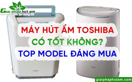 Máy hút ẩm Toshiba