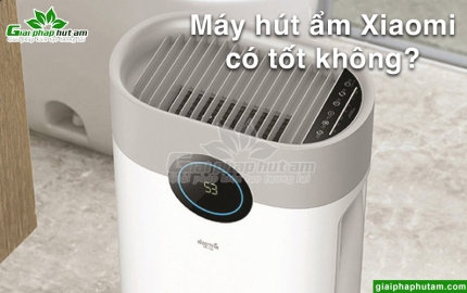 Máy hút ẩm Xiaomi có tốt không? Top 8 sản phẩm bán chạy nhất