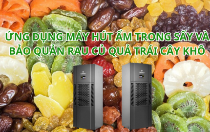 Nên sử dụng máy hút ẩm nào để sấy và bảo quản rau củ quả, trái cây khô?