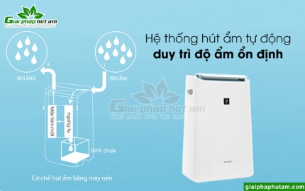 Những chức năng nổi bật trên máy hút ẩm gia đình