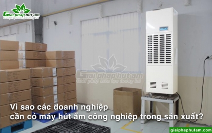 Những công dụng của máy hút ẩm công nghiệp trong sản xuất