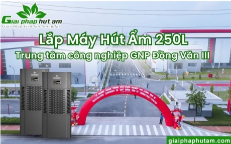 Lắp Đặt Máy Hút Ẩm 250L Bảo Quản Hàng Hóa Tại TT CN GNP Đồng Văn III