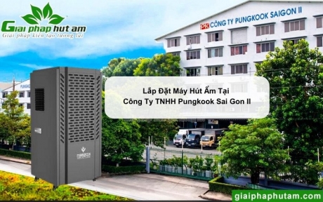 Lắp Đặt Máy Hút Ẩm Tại Công Ty TNHH Pungkook Sai Gon II