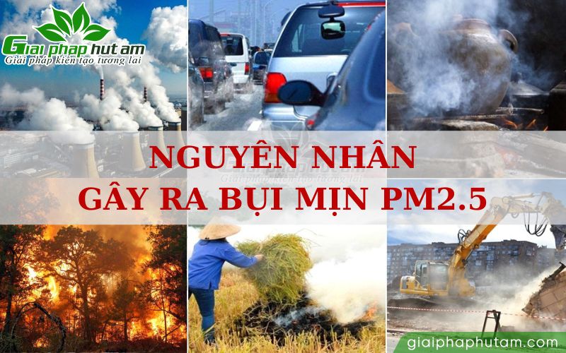 Nguyên nhân gây ra bụi mịn PM2.5 là do các hoạt động của con người và cả trong tự nhiên