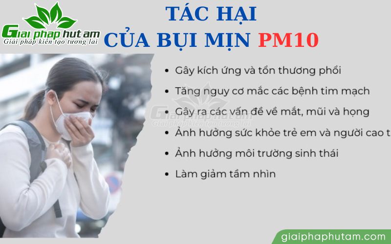 Bụi mịn PM10 không chỉ ảnh hưởng đến sức khỏe con người mà còn gây hại cho môi trường