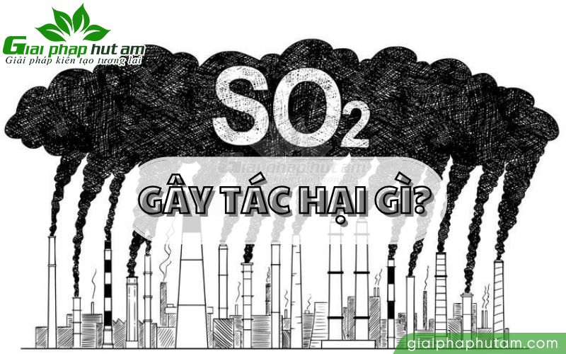 Tác động của SO2 đối với sức khỏe và môi trường