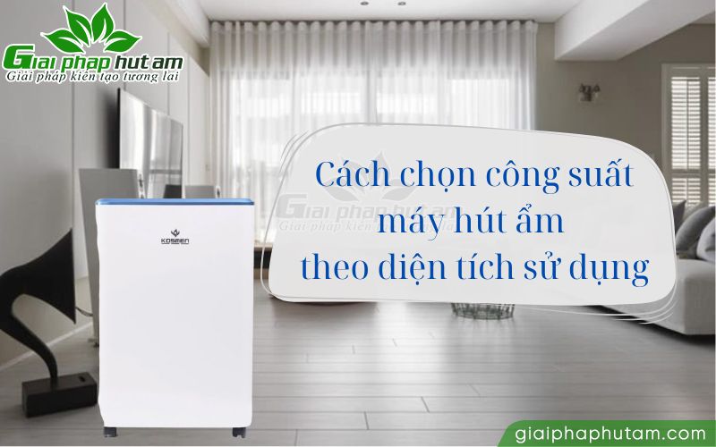 Hướng dẫn cách chọn công suất của máy hút ẩm phù hợp với diện tích 