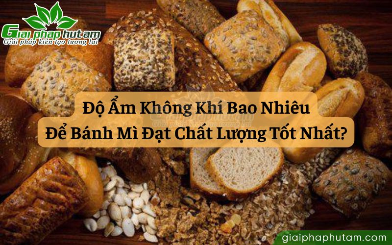 Độ ẩm không khí bao nhiêu là lý tưởng cho bánh mì?