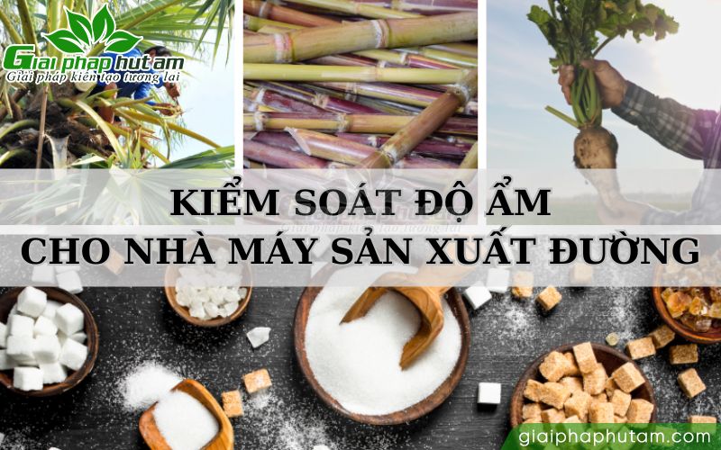 kiểm soát độ ẩm cho kho xưởng sản xuất đường