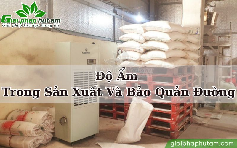 Kiểm Soát Độ Ẩm Để Đảm Bảo Chất Lượng Đường